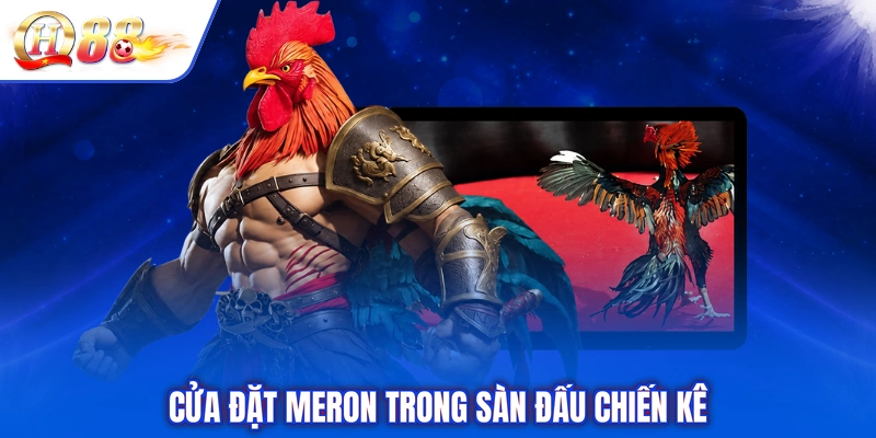 Cửa đặt Meron trong sàn đấu chiến kê